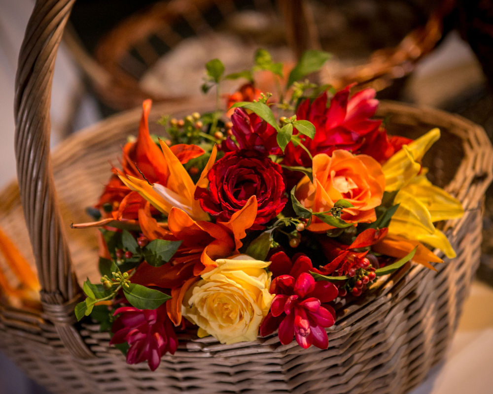 Galería de fotos, bodas en Ixtapa Zihuatanejo